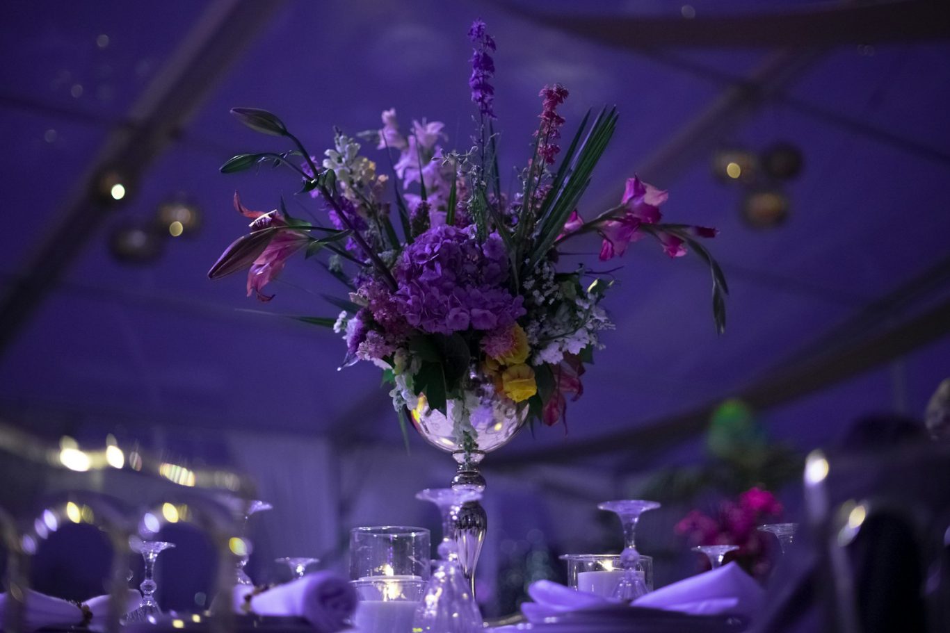 Styling & Decoration